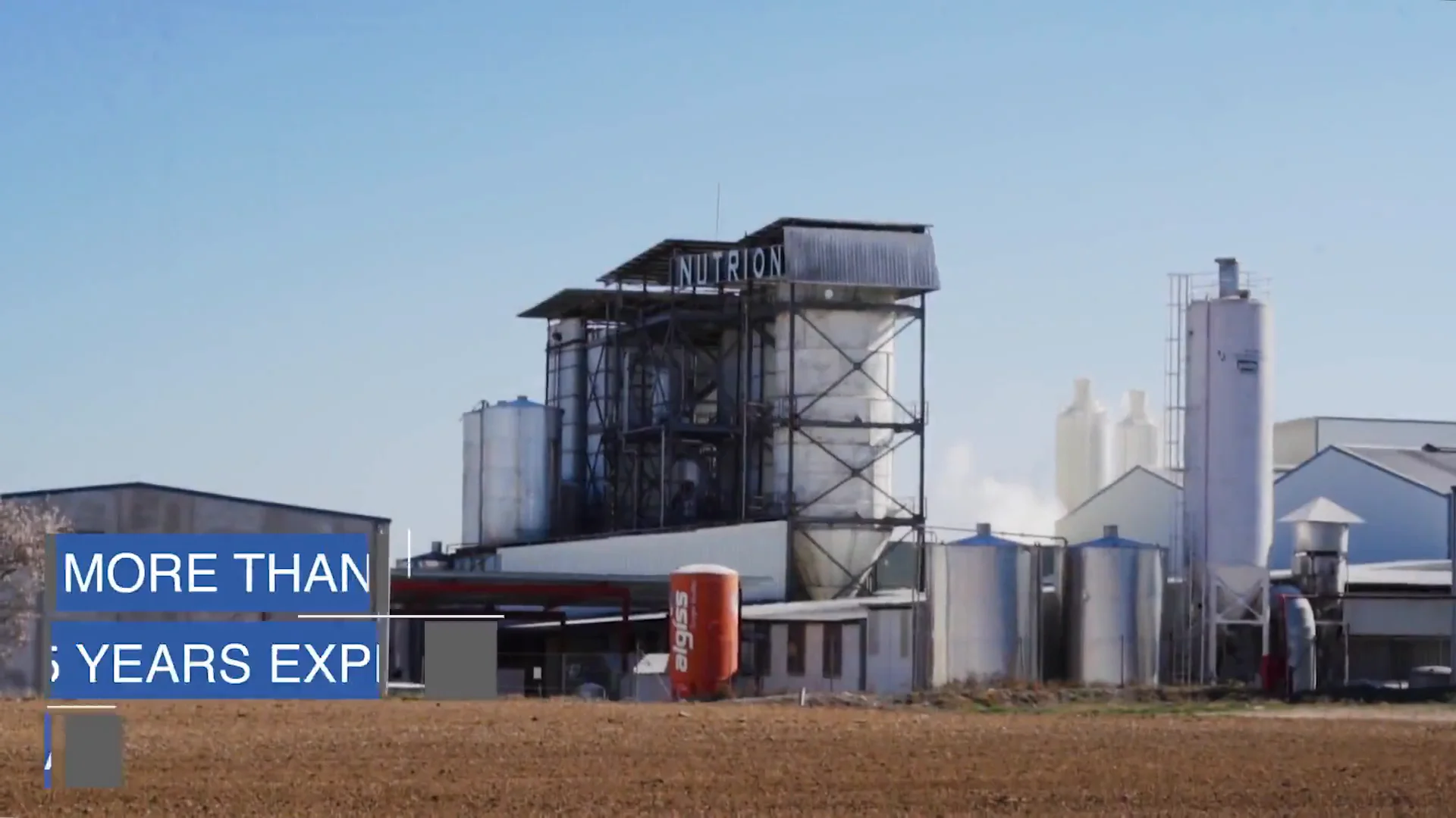 Animal Nutrition Experts