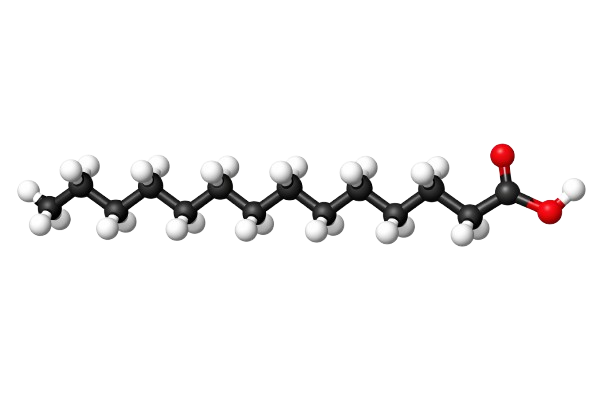 Palmitic acid (C16:0)