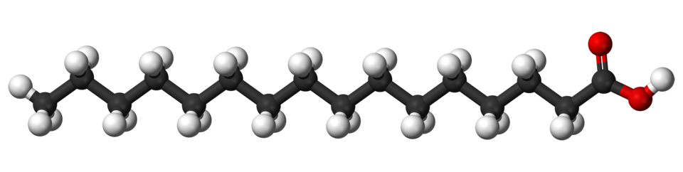 Palmitic acid (C16:0)