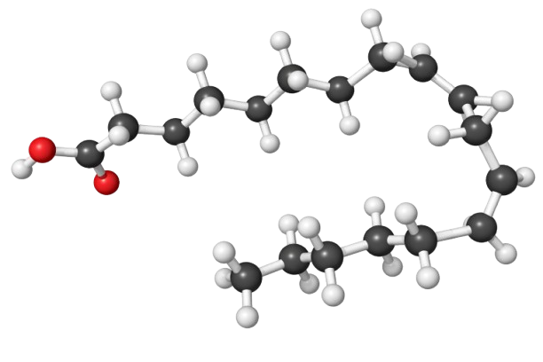 Linoleic acid (C18:2)
