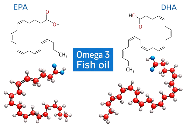 Linolenic acid (C18:3) - EPA (20:5 n‑3) and DHA (22:6 n‑3)