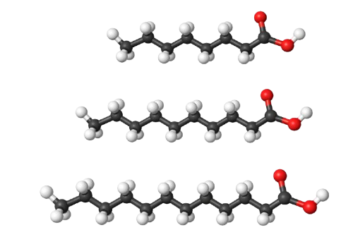 Medium-chain fatty acids (MCFA)