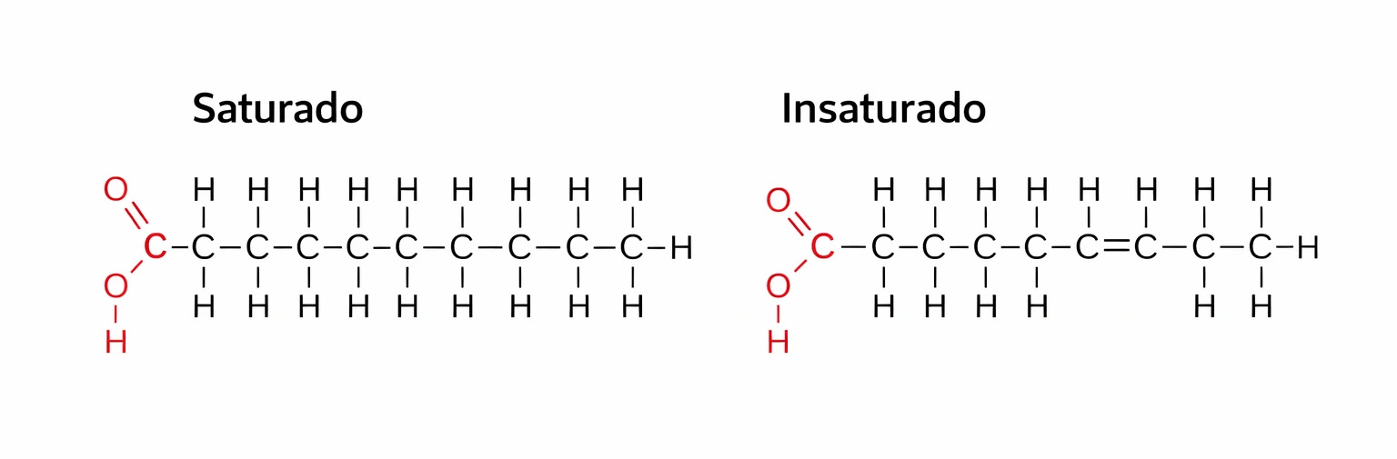 Ácidos grasos saturados e insaturados