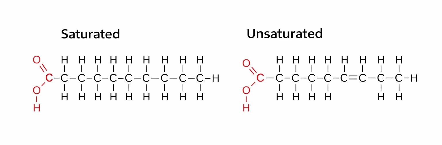 Saturated and unsaturated fatty acids