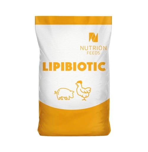 LIPIBIOTIC