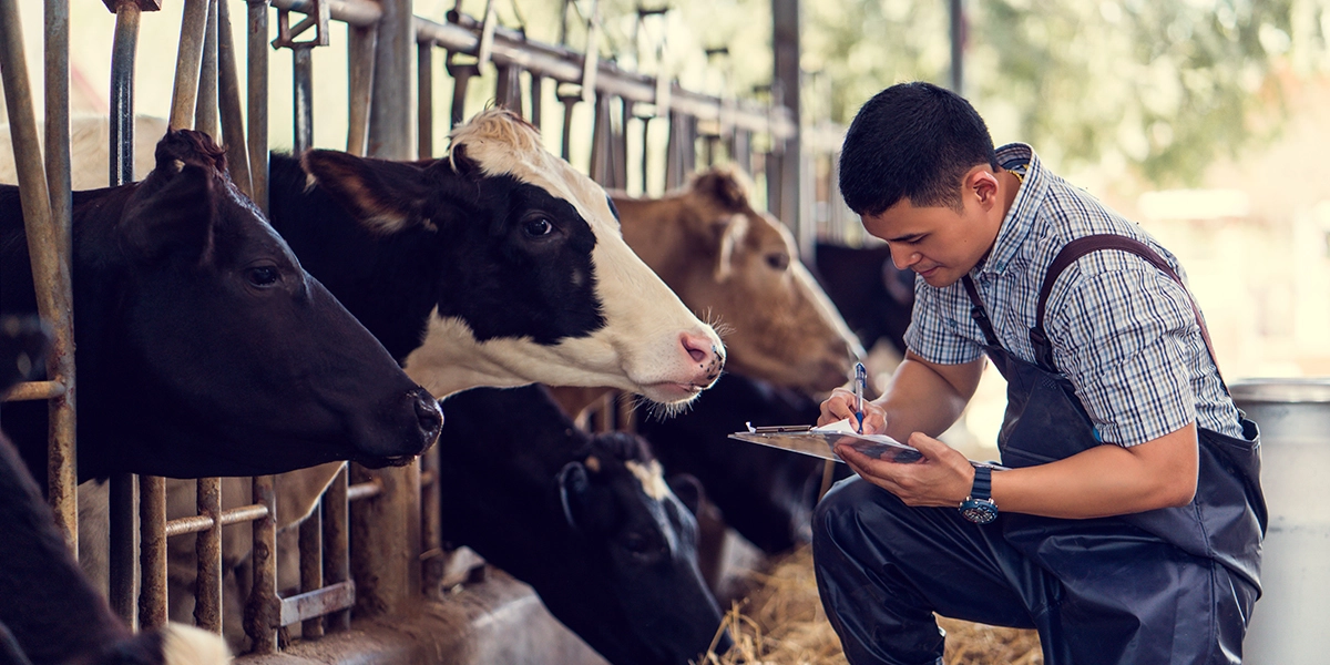 Advanced animal nutrition solutions